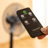 V6H412AD42C3D4941149500CBCDF7C33B80R7673275P7