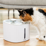 Fontaine pour Animaux de Compagnie Drinkatt InnovaGoods (Reconditionné A+)