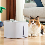 Fontaine pour Animaux de Compagnie Drinkatt InnovaGoods (Reconditionné A+)