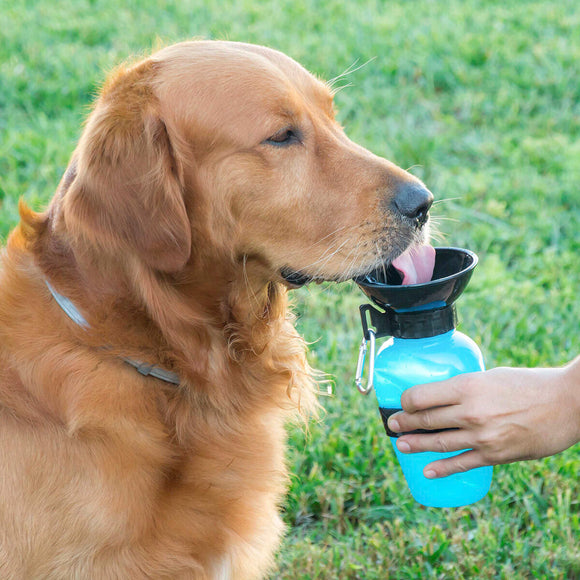 Bouteille Abreuvoir pour Chiens InnovaGoods (Reconditionné C)