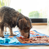 Tapis de Jeux et Récompenses pour Animaux de Compagnie Foofield InnovaGoods (Reconditionné A+)