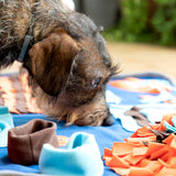 Tapis de Jeux et Récompenses pour Animaux de Compagnie Foofield InnovaGoods (Reconditionné A+)